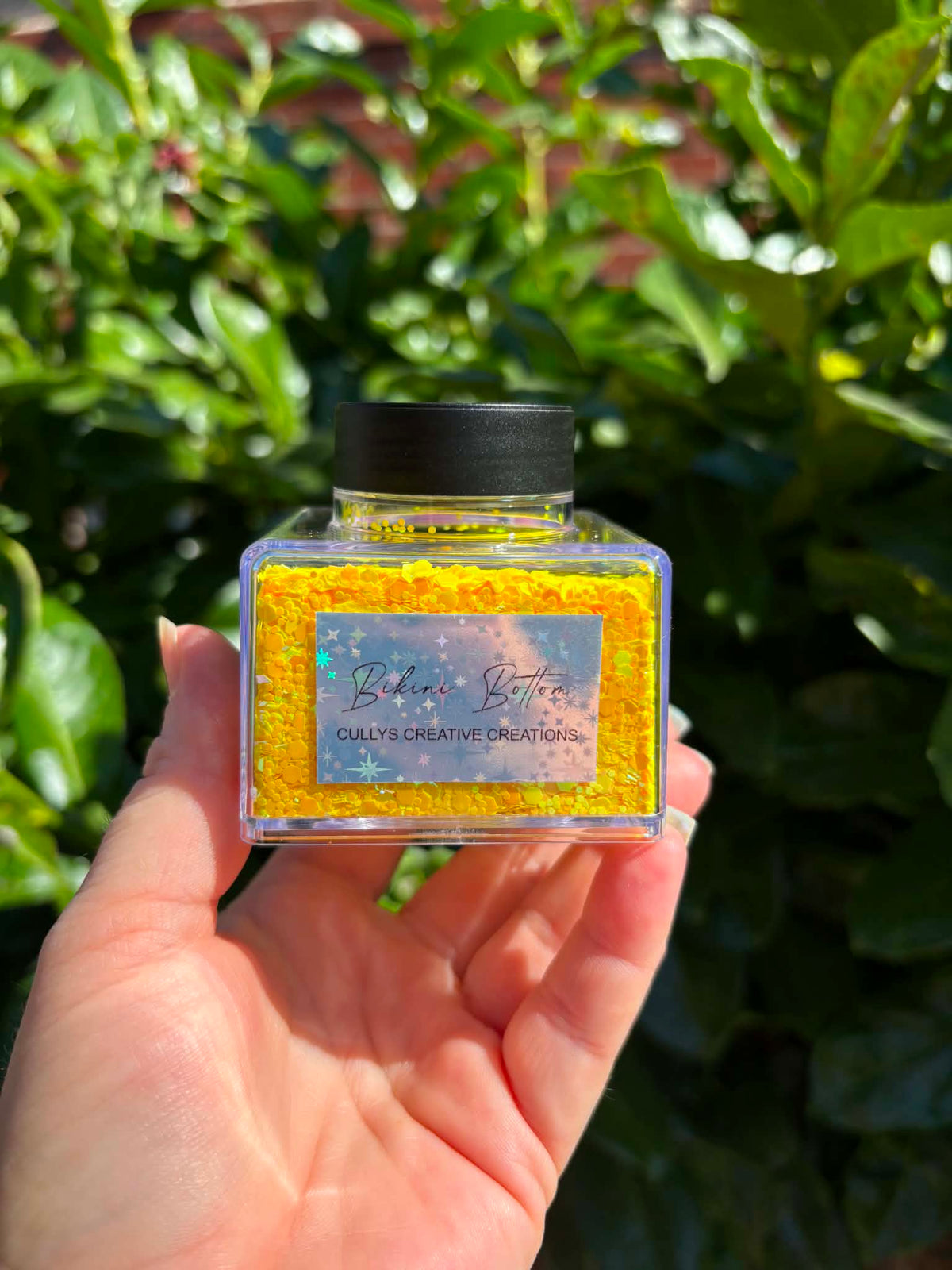 Holographic Glitter
