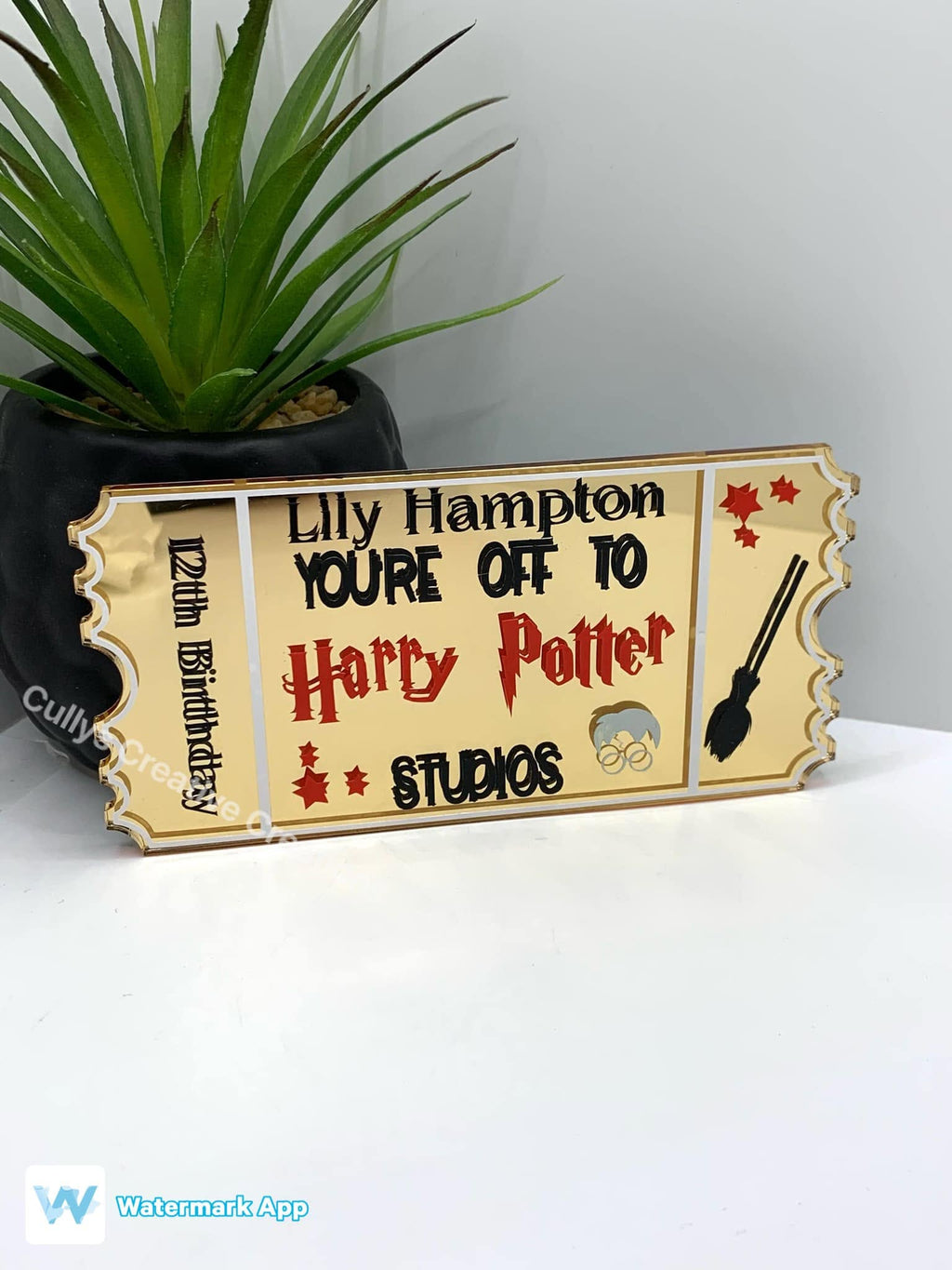 Acrylic Ticket